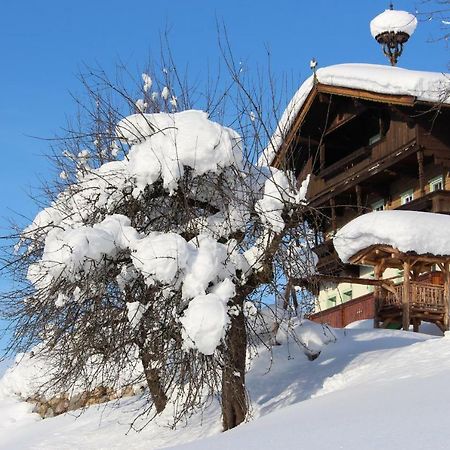 Bauernhof Moedling Apartment Hopfgarten im Brixental Exterior photo